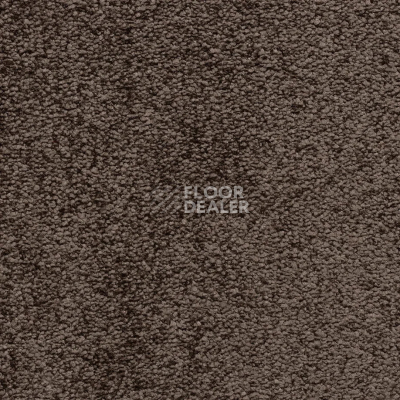 Ковролин Bonkeel Parliament Brown фото 1 | FLOORDEALER